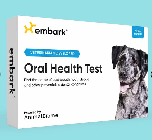 Embark Oral Health Test for dogs